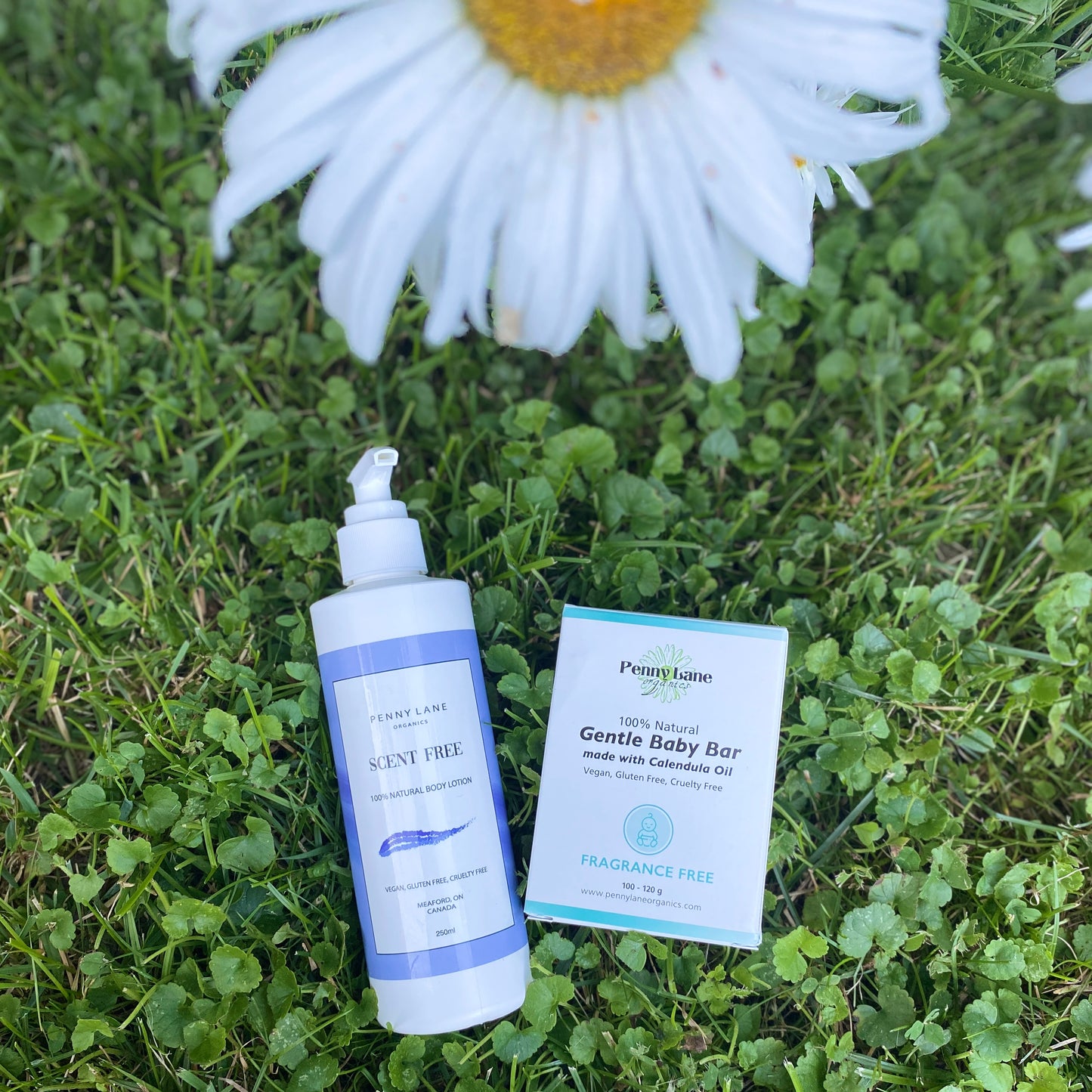 Lotion - Hand & Body