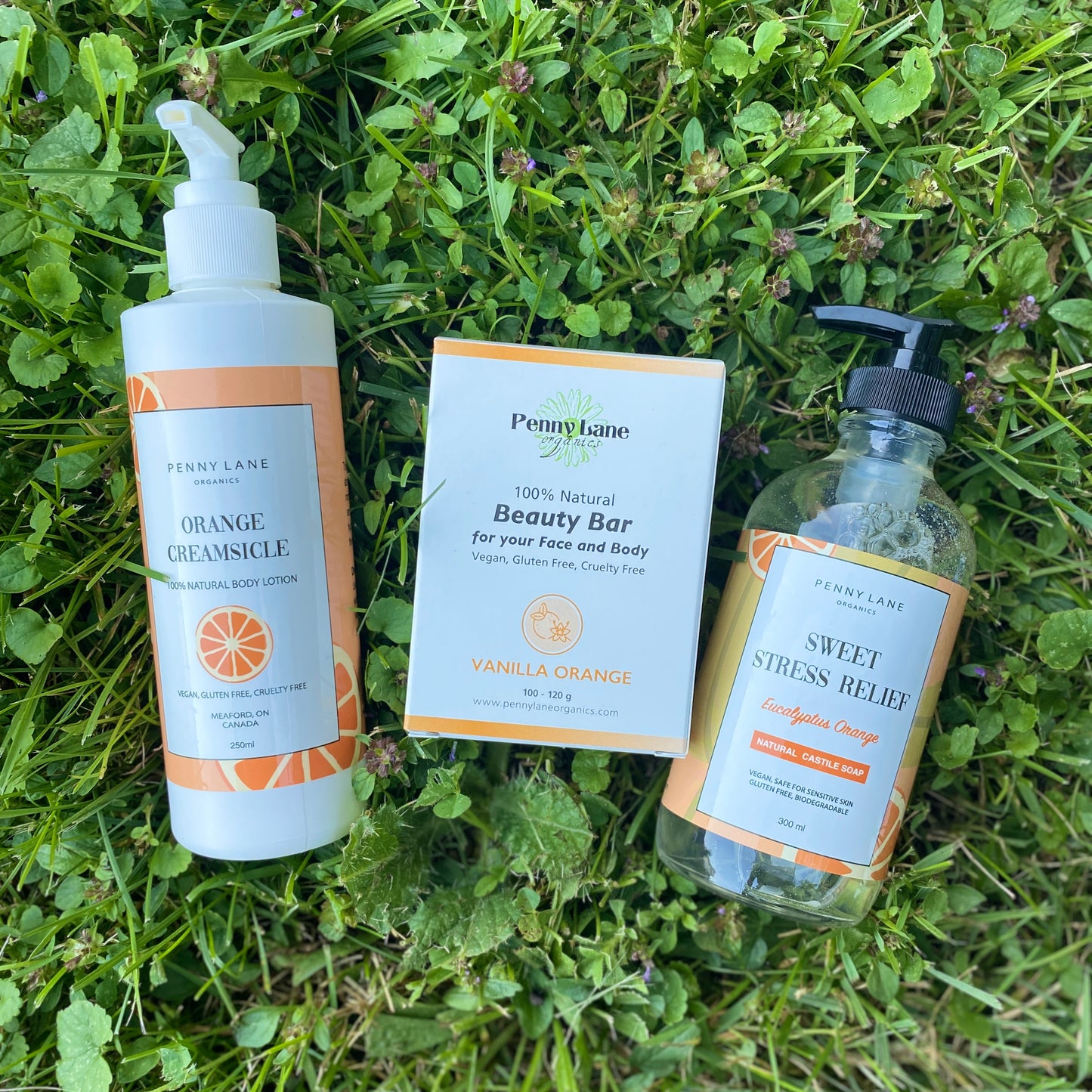 Lotion - Hand & Body